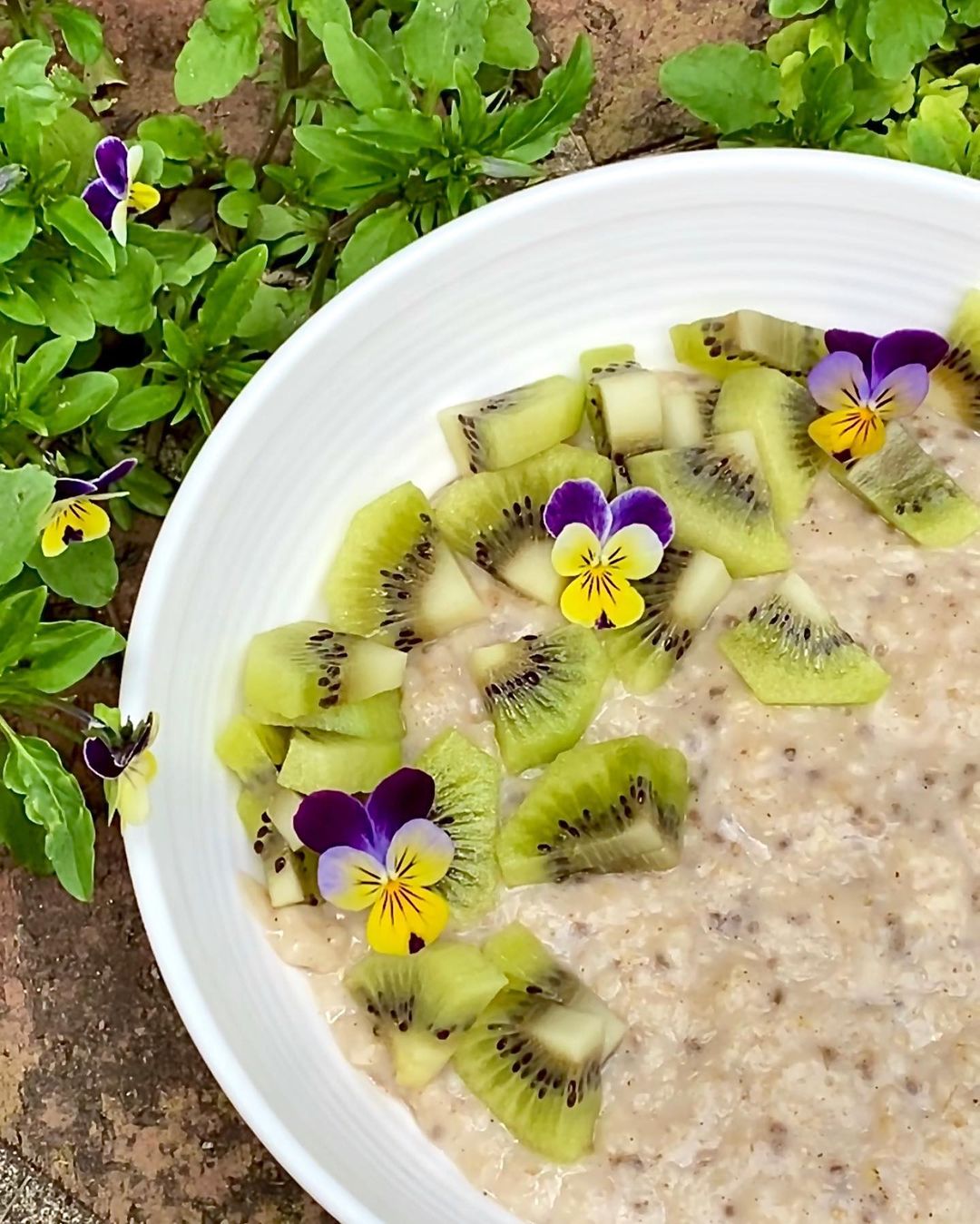 Quick Satisfying Oatmeal Breakfast Bowl with Kiwi