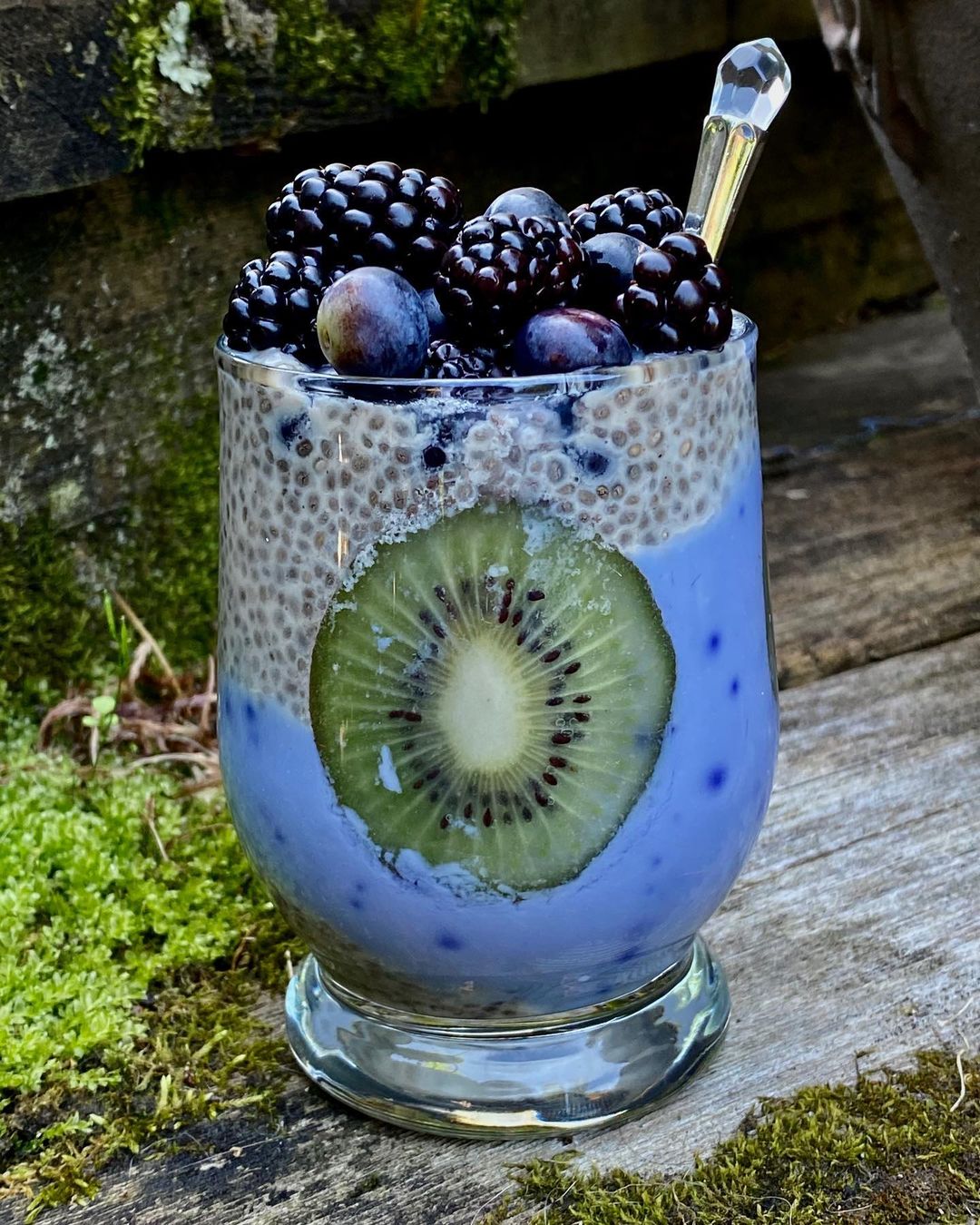Chia Pudding Parfait with Berries