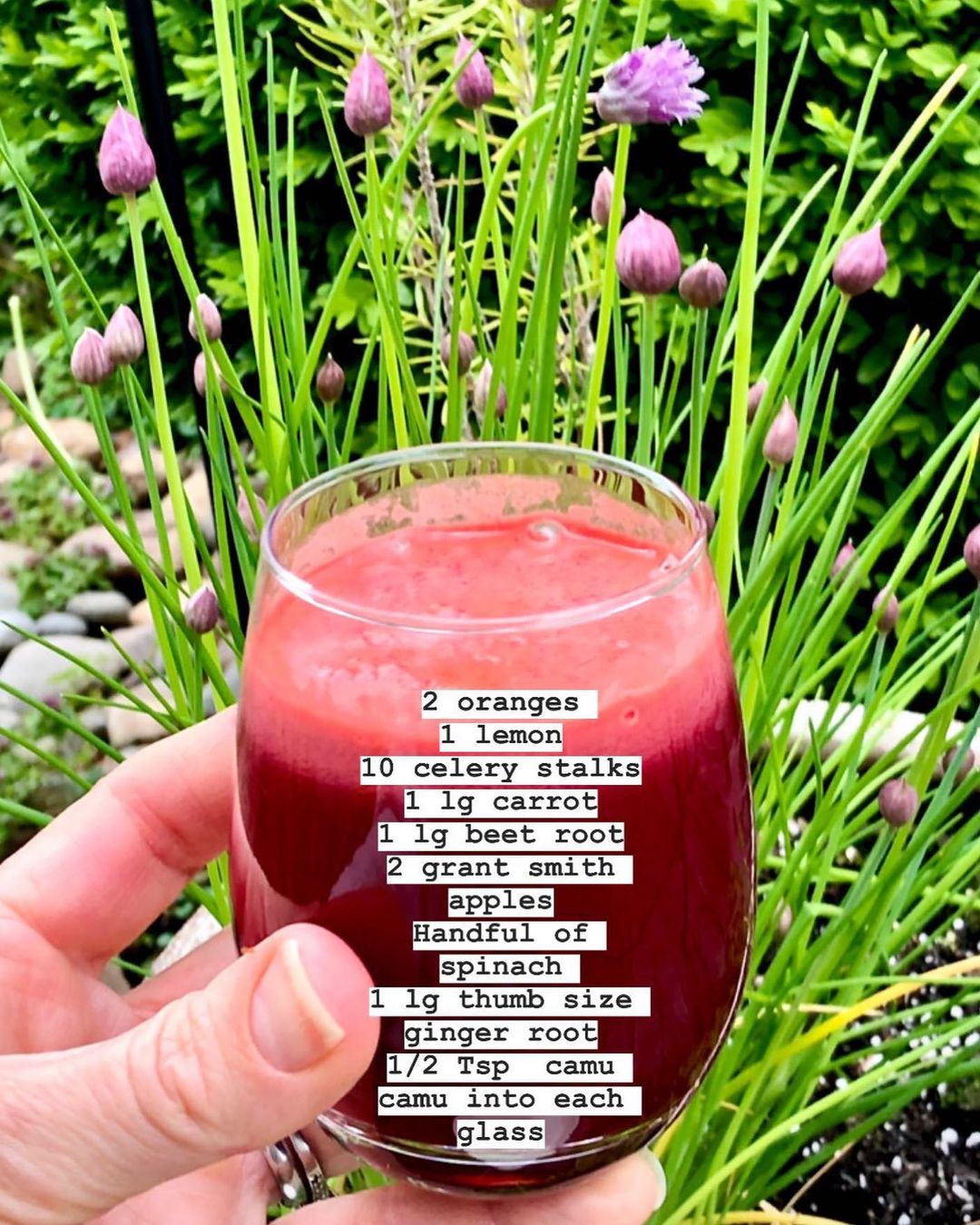 Immune Booster Nutrient Juice