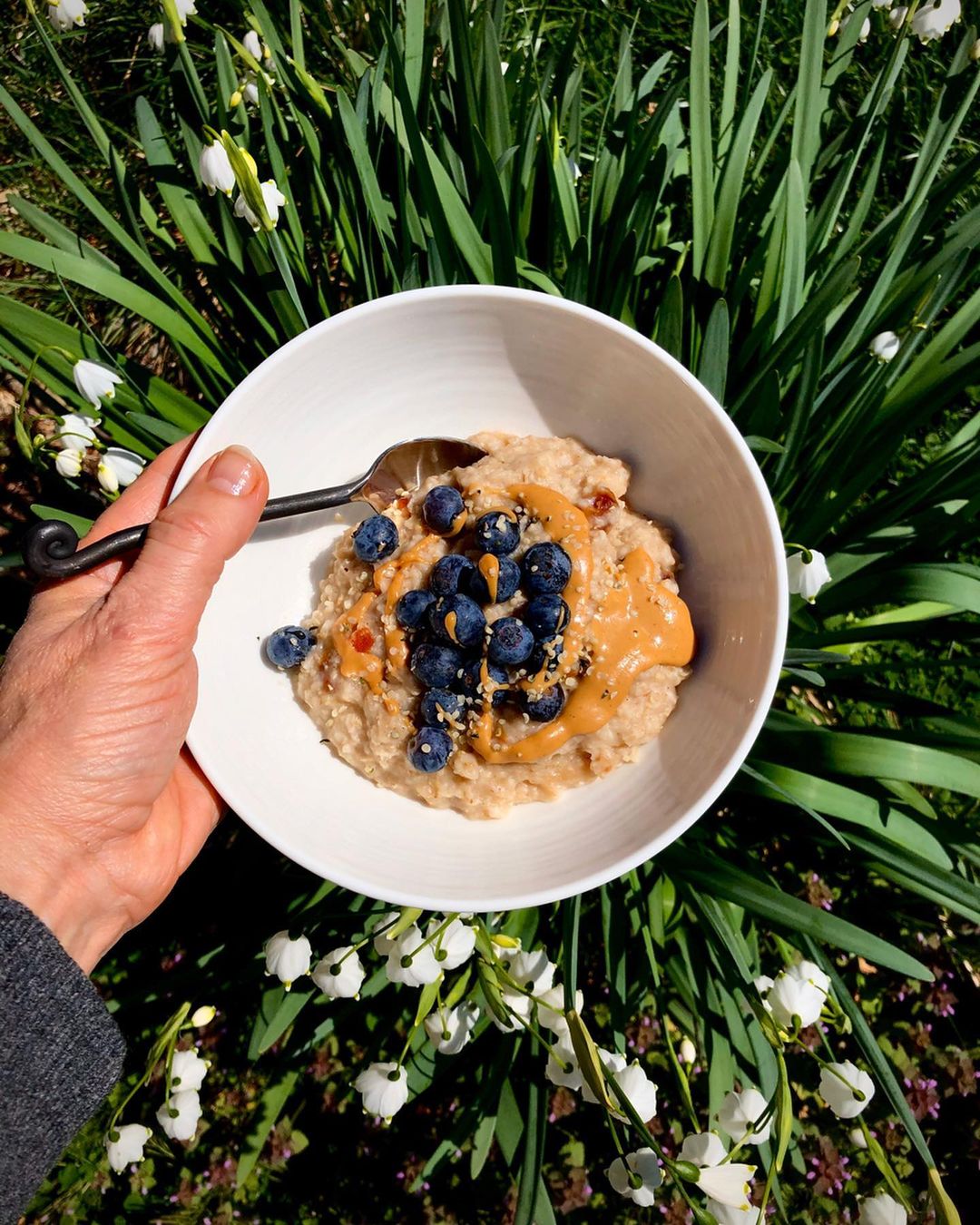 Oatmeal Bowl with Dates and Toppings