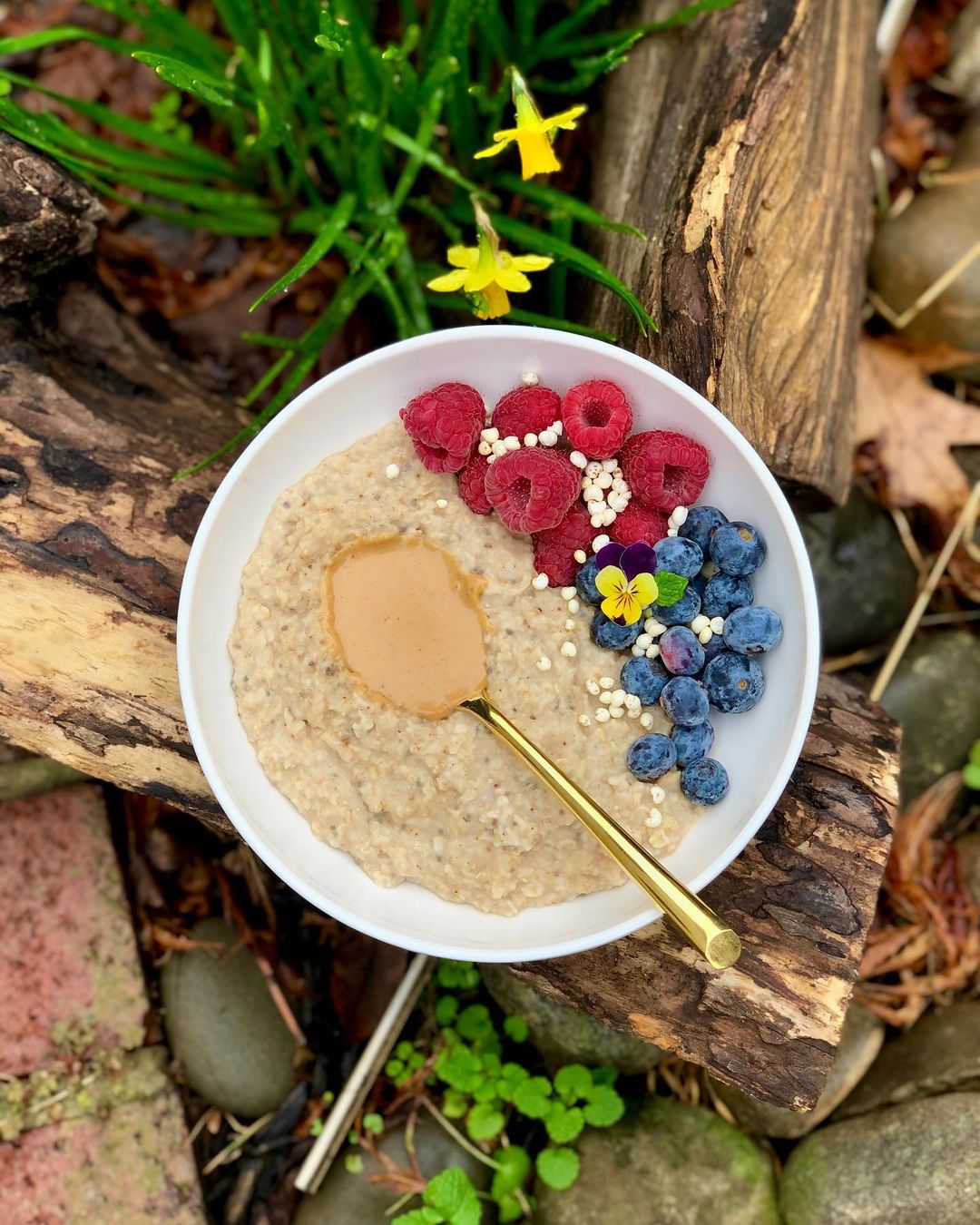 Cozy Oatmeal Bowl with Spices and Toppings