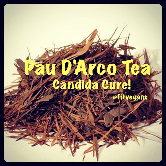 Pau D’Arco Tea for Candida Relief