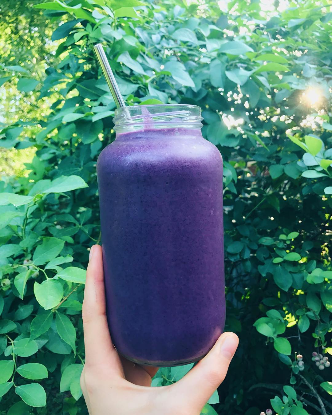 Blueberry Vanilla Coconut Smoothie