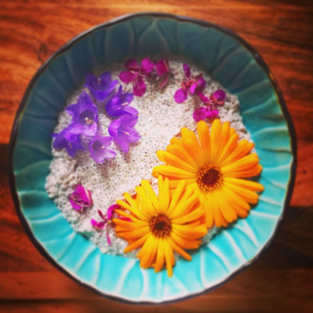 Simple Chia Seed Pudding with Coconut Milk