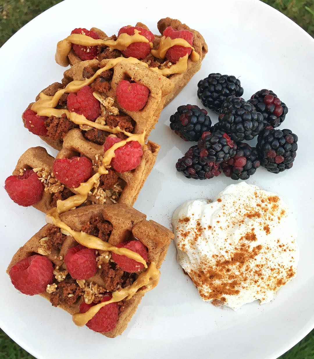 Leftover Chocolate Protein Waffles Breakfast