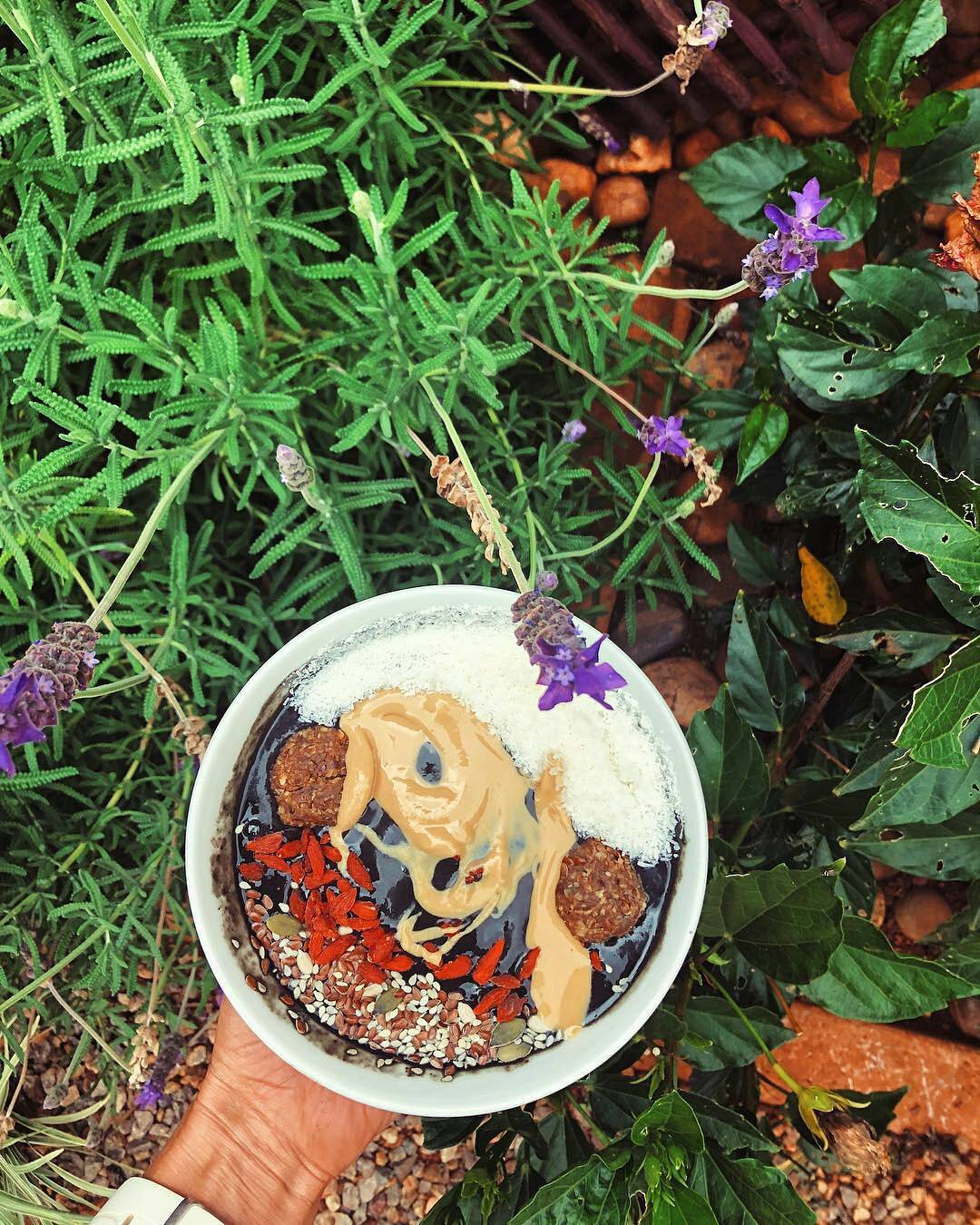 Dark Berry Spirulina Smoothie Bowl