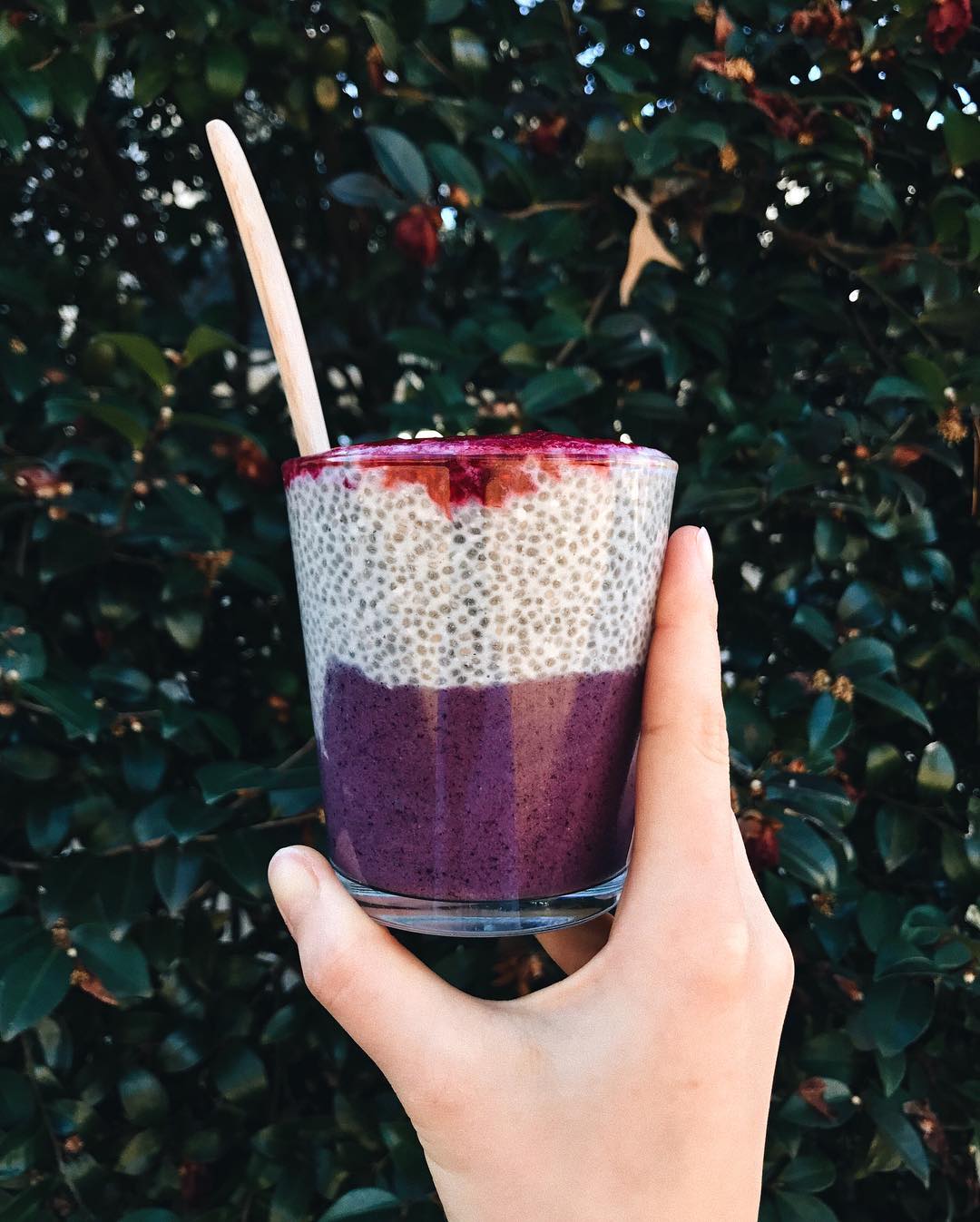 Blueberry Vanilla Nice Cream and Chia Pudding