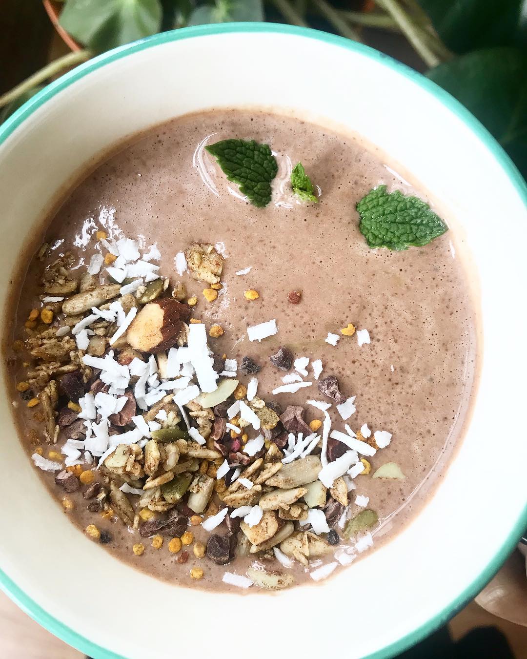 Creamy Mint Chocolate Chip Smoothie