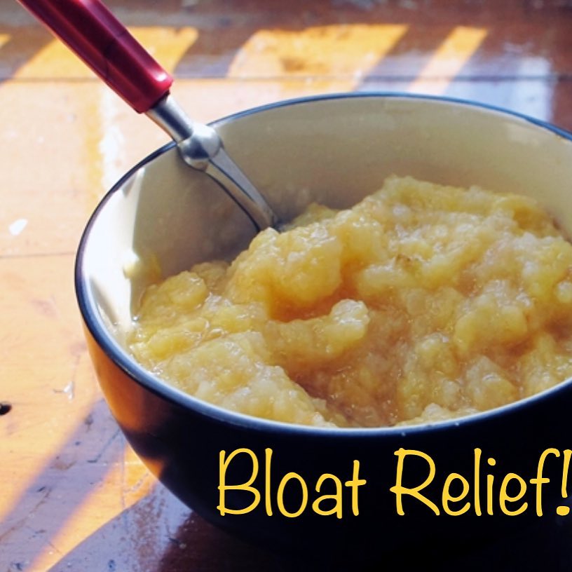 Fennel Apple Spice Sauce for Bloat Relief
