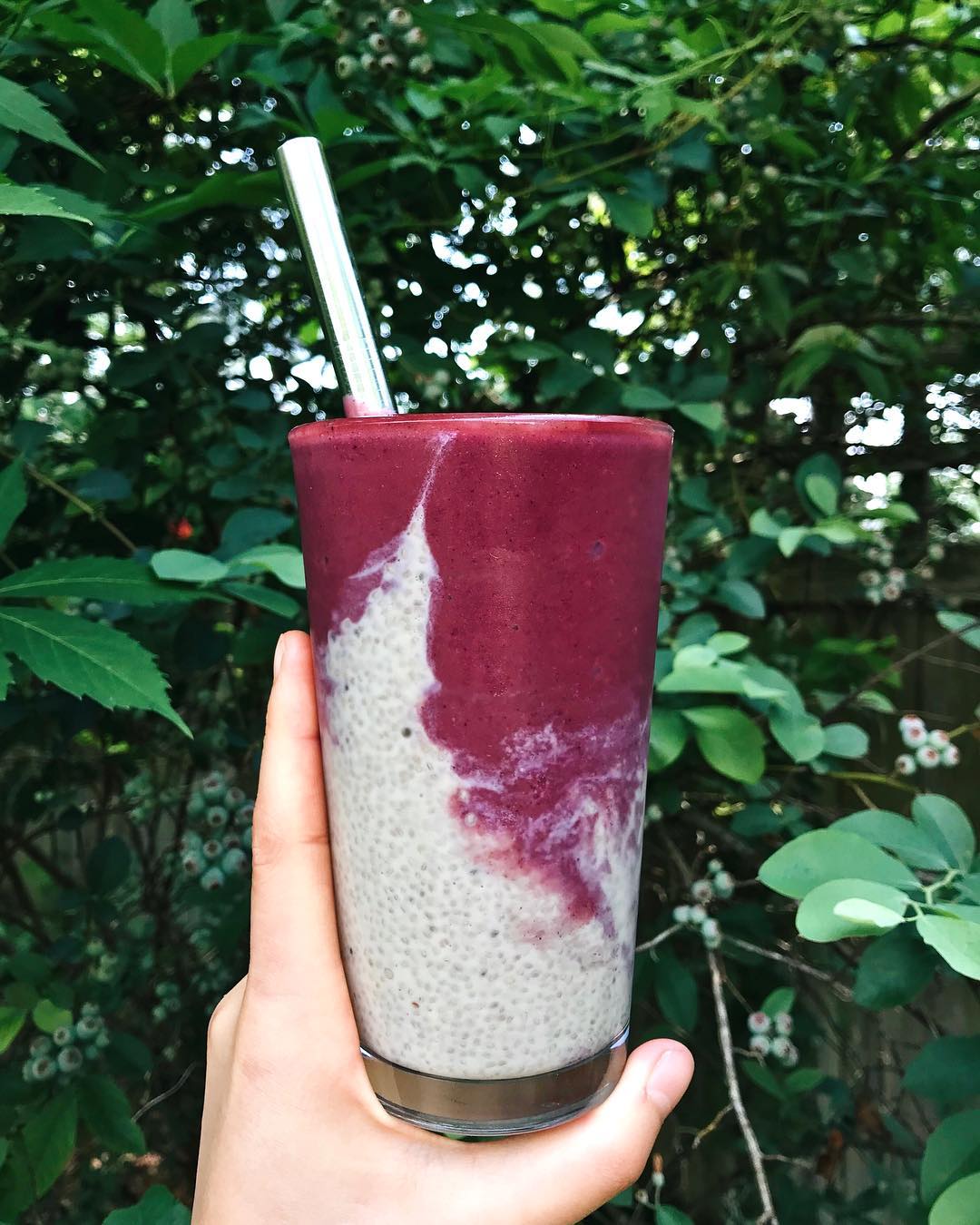 Tropical Citrus Berry Smoothie