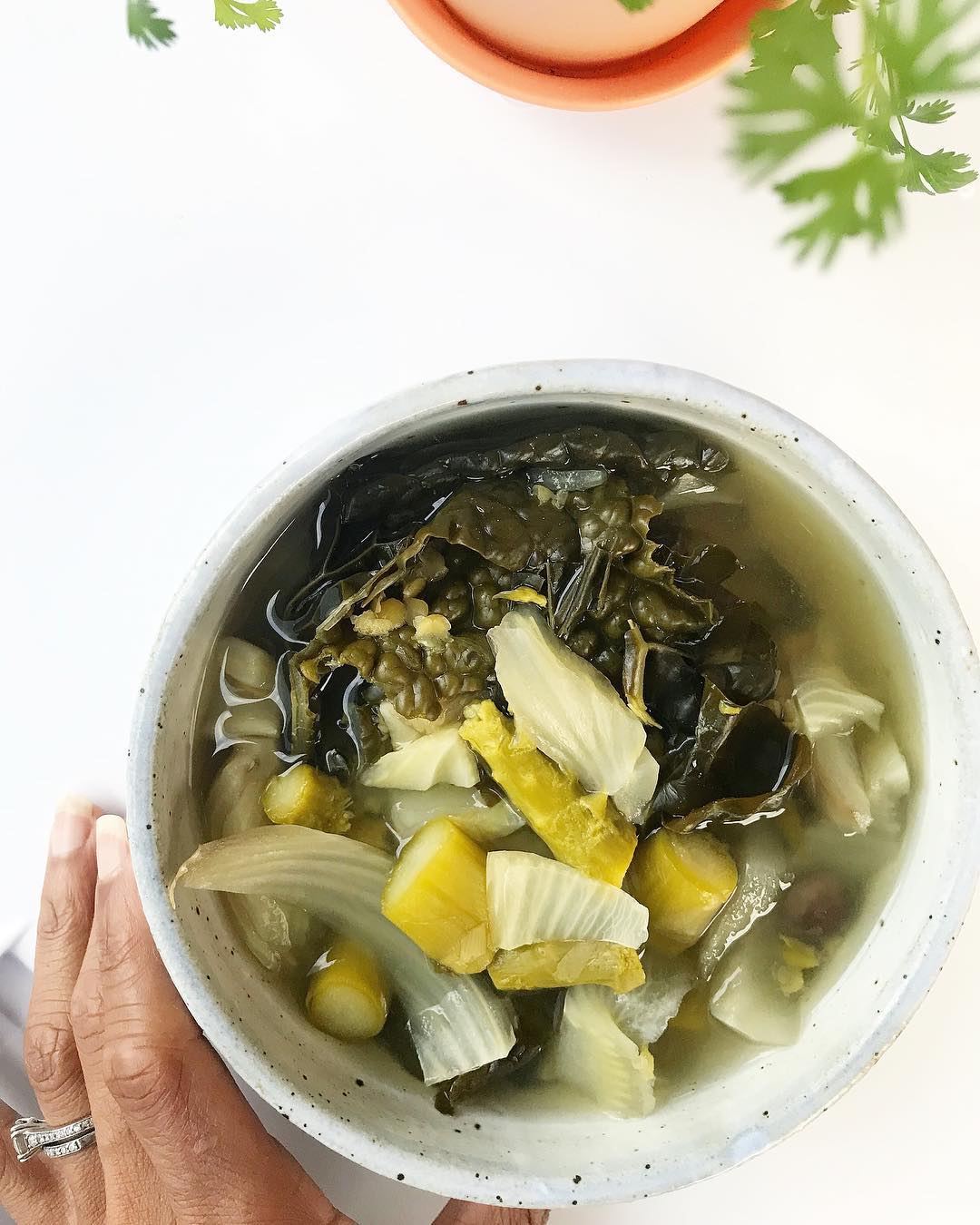Simple Cleansing Vegetable Crockpot Soup