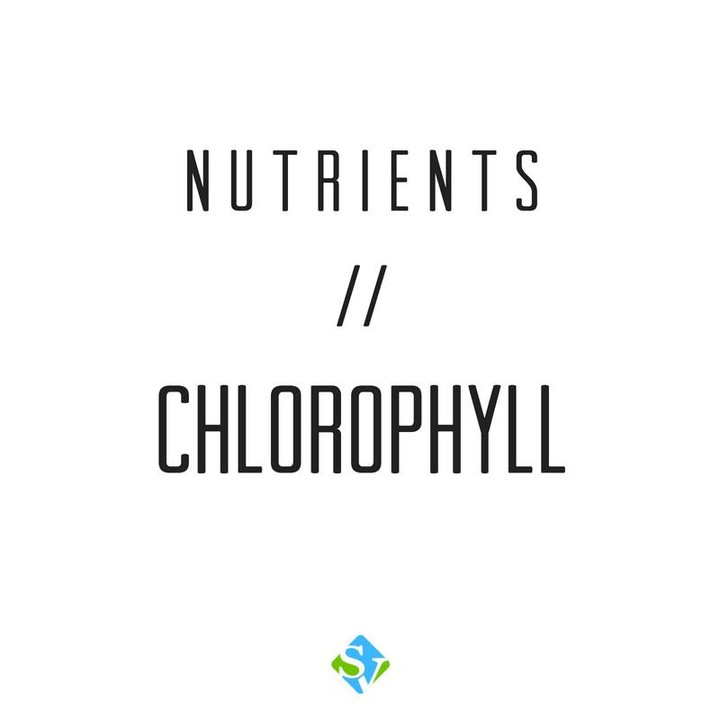 Spirulina