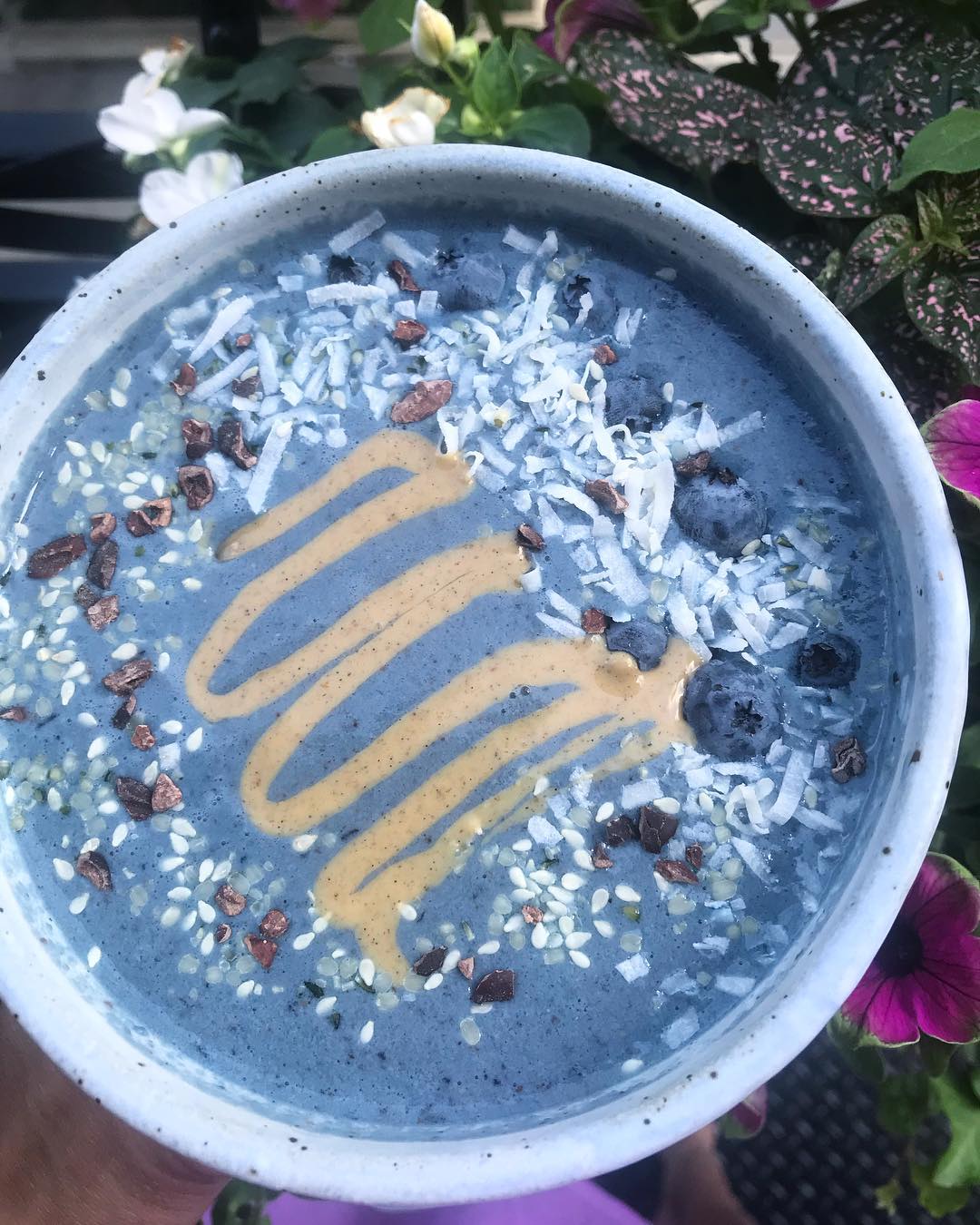 Blueberry Spirulina Anti-Inflammatory Smoothie