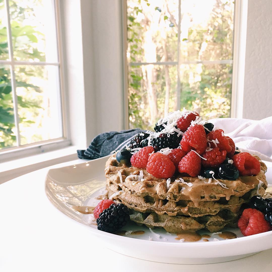 Guiltless Seed Flour Waffles