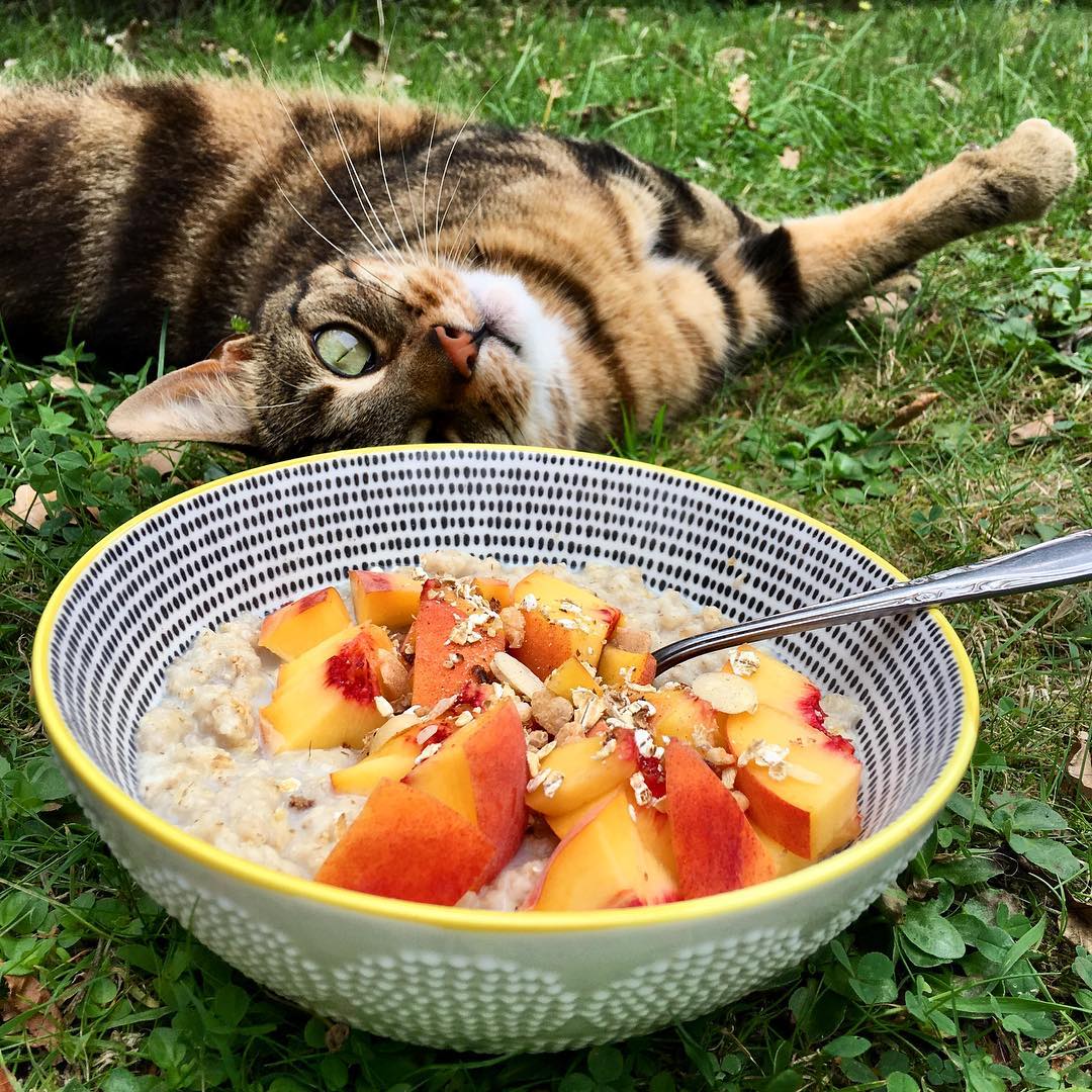 Almond Milk Oat Porridge with Peaches