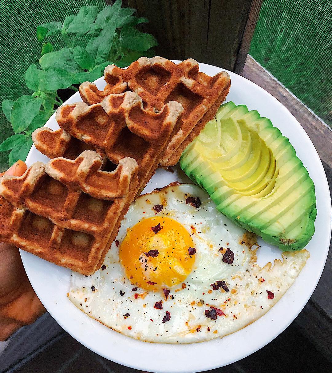 Savory Paleo Waffles with Egg and Avocado