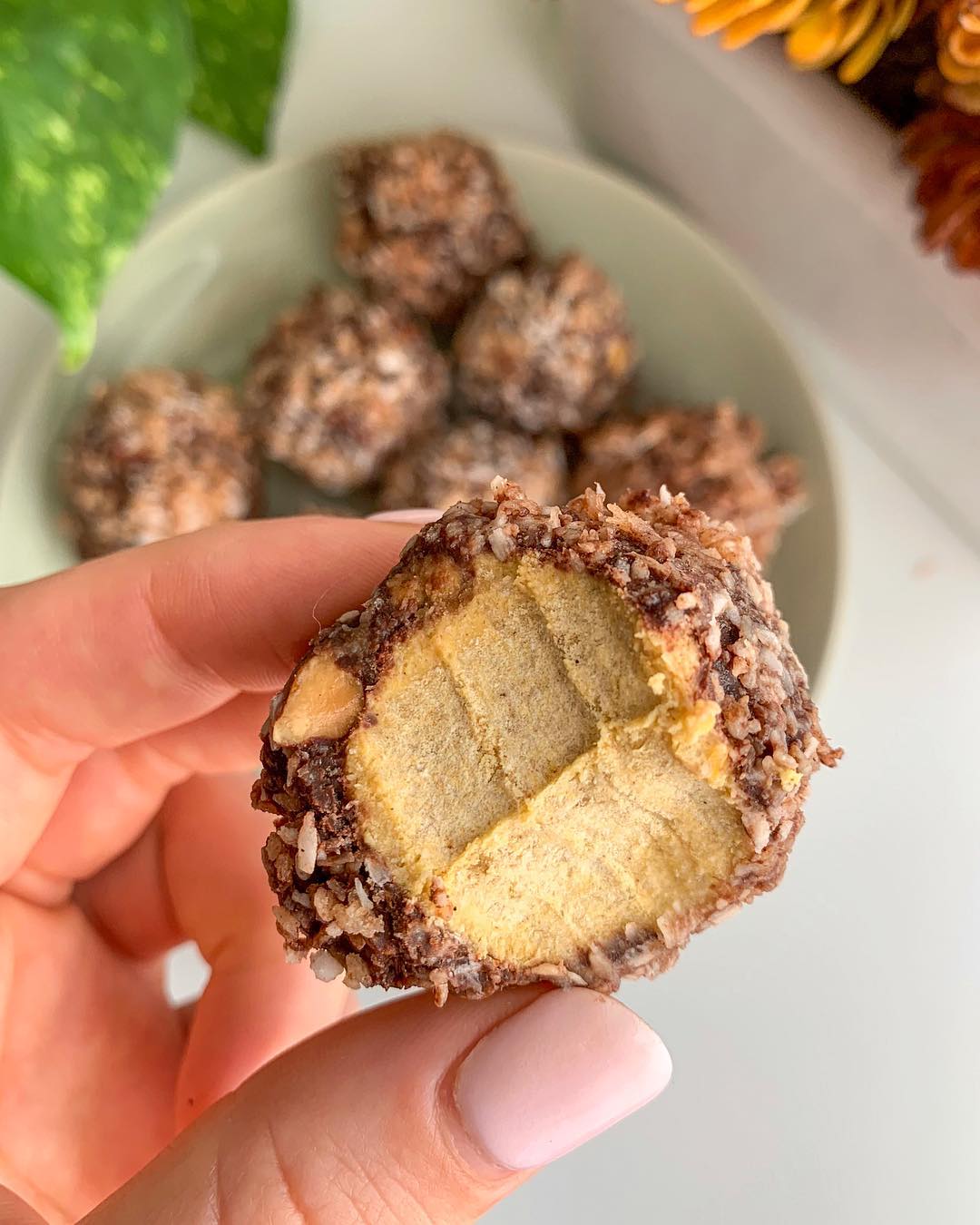 Delicious Chocolate Pumpkin Energy Balls