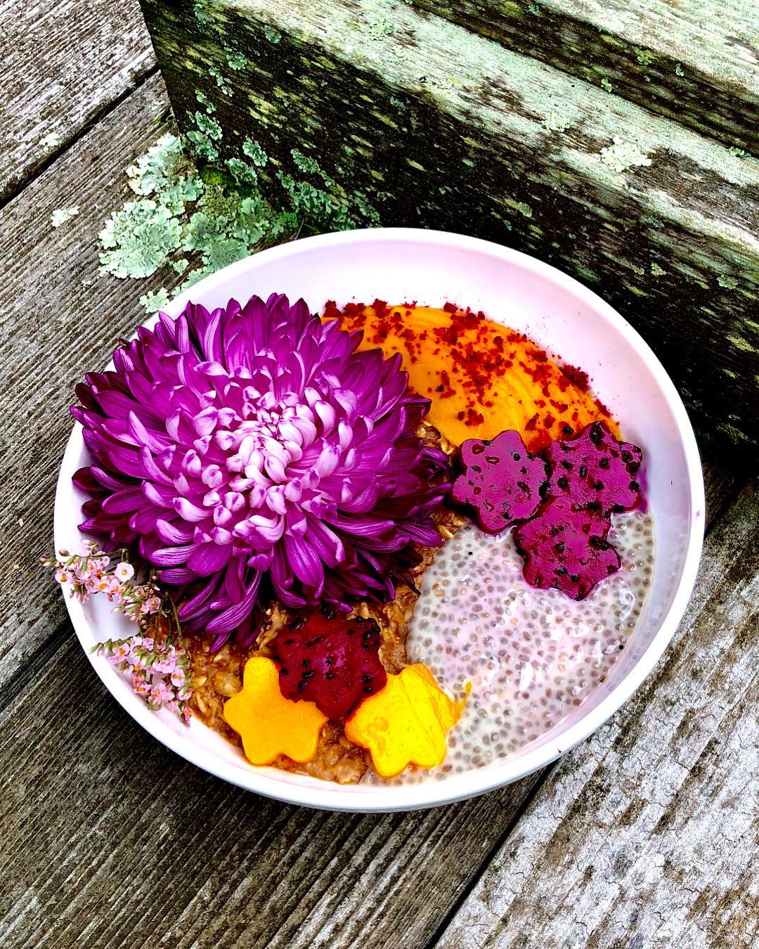 Vegan Chia Seed Pudding with Dragon Fruit
