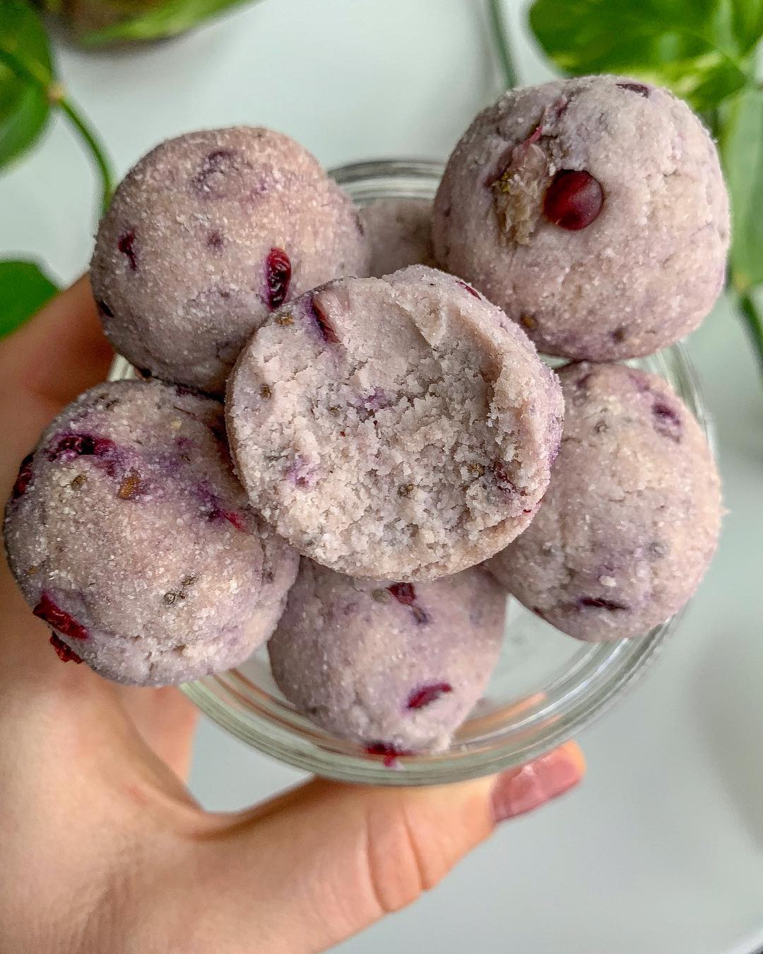 Blackberry Coconut Energy Balls