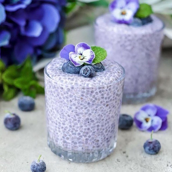Blueberry Chia Protein Pudding