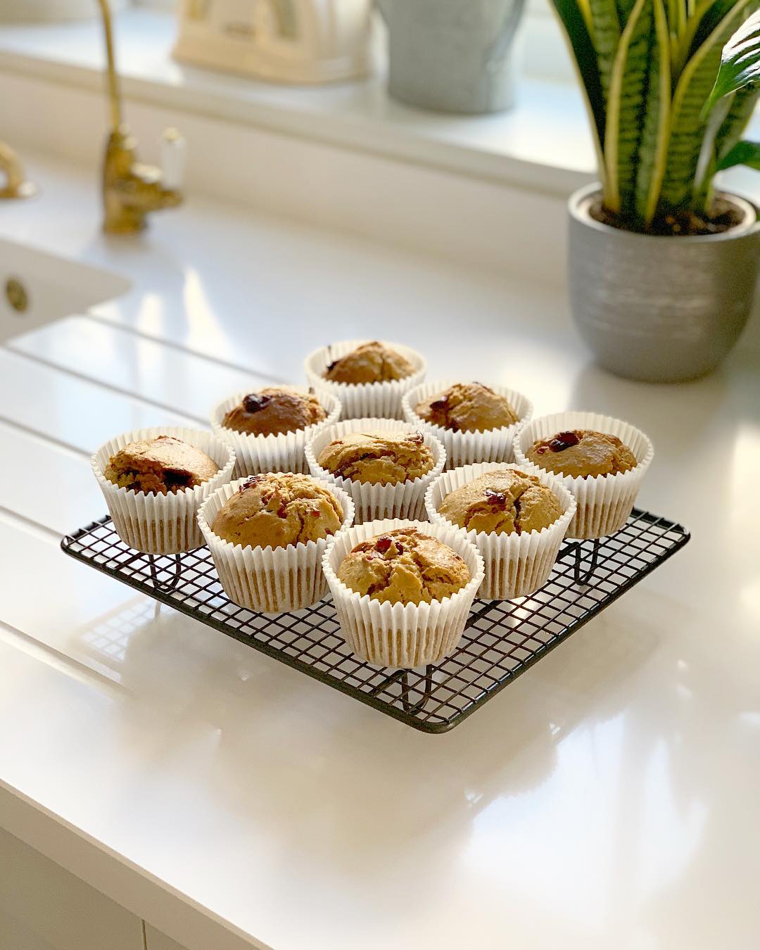 Cranberry and Orange Muffins
