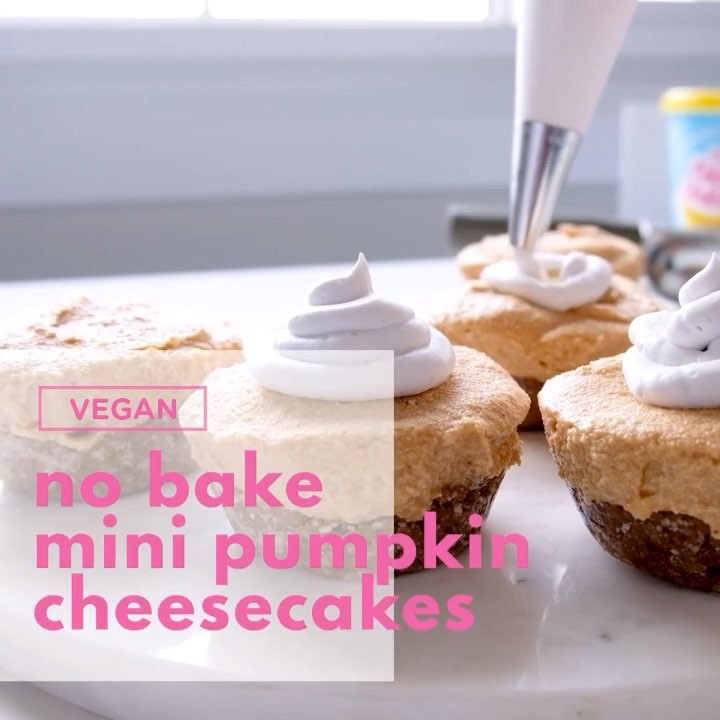 No Bake Mini Pumpkin Cheesecakes