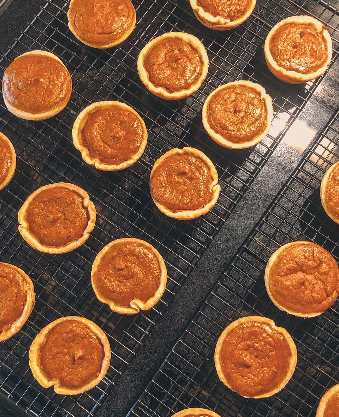Vegan Pumpkin Pie Bites