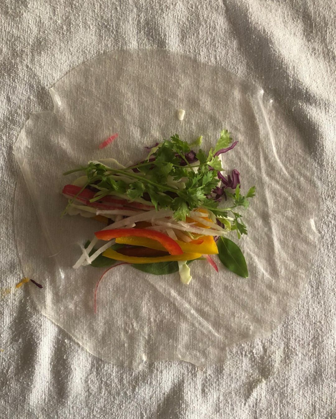 Mango Cashew Slaw Rice Paper Rolls