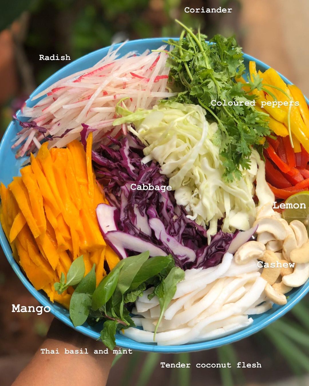 Mango Cashew Slaw Rice Paper Rolls