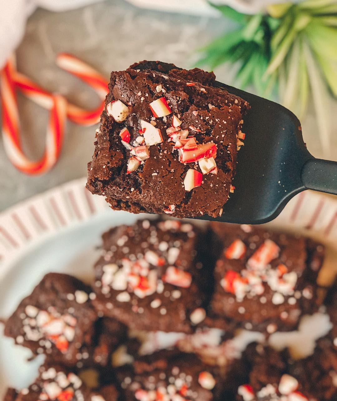 Vegan Gluten-Free Peppermint Brownies