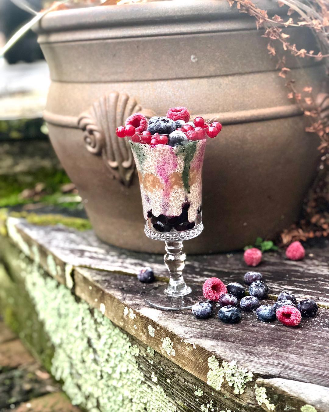 Healthy Chia Pudding Parfait Breakfast
