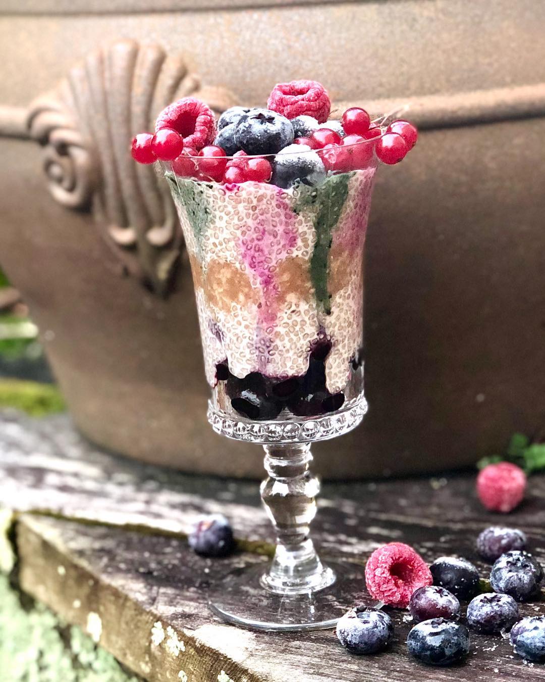 Healthy Chia Pudding Parfait Breakfast