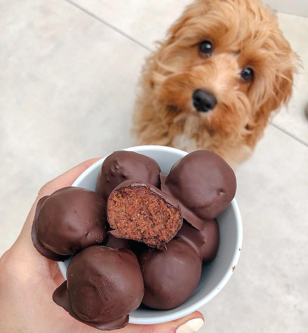 Dark Chocolate Cake Balls
