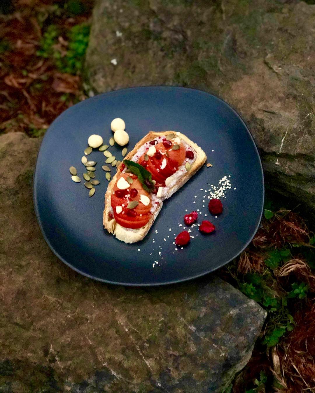Vegan Chia Pudding Toast with Toppings