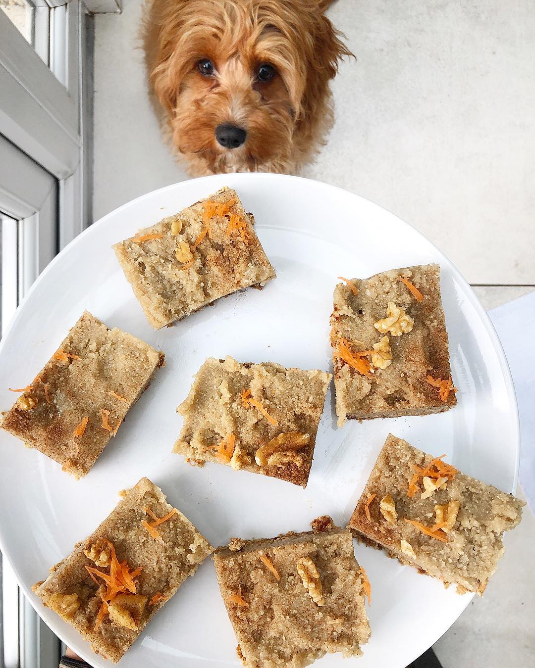 Vegan Carrot Cake Bars