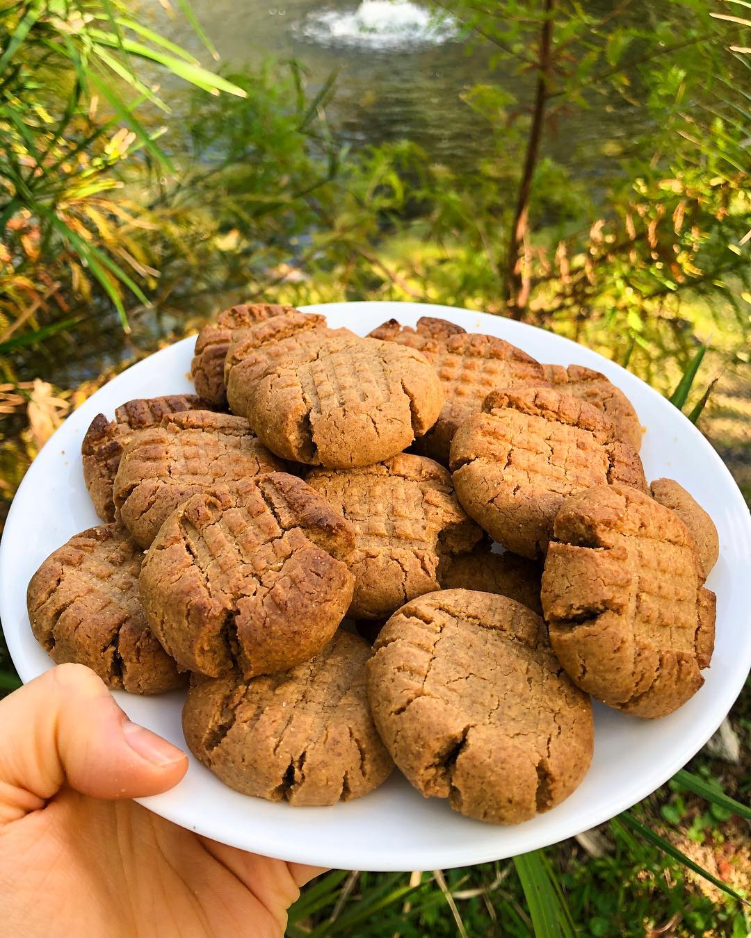 Delicious Vegan Peanut Butter Cookies
