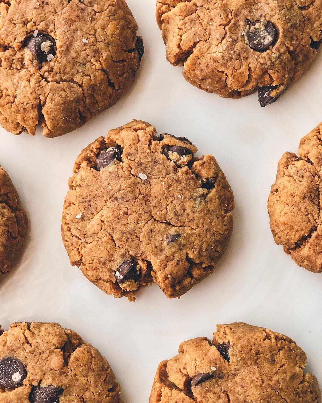 Peanut Butter Chocolate Chip Cookie
