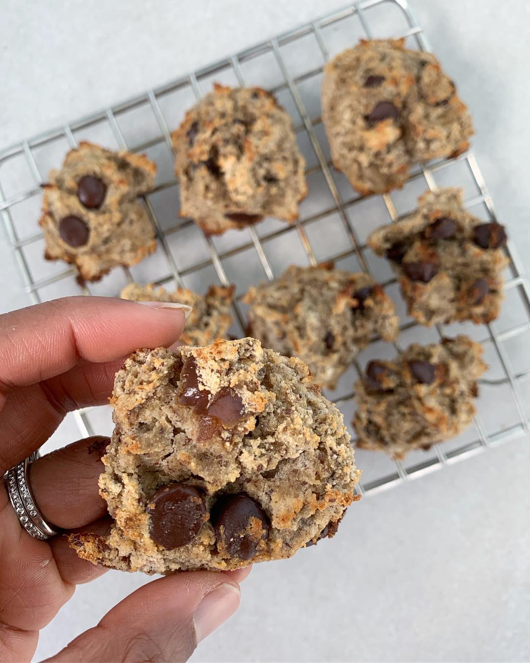 Coconut Chocolate Chip Cookie