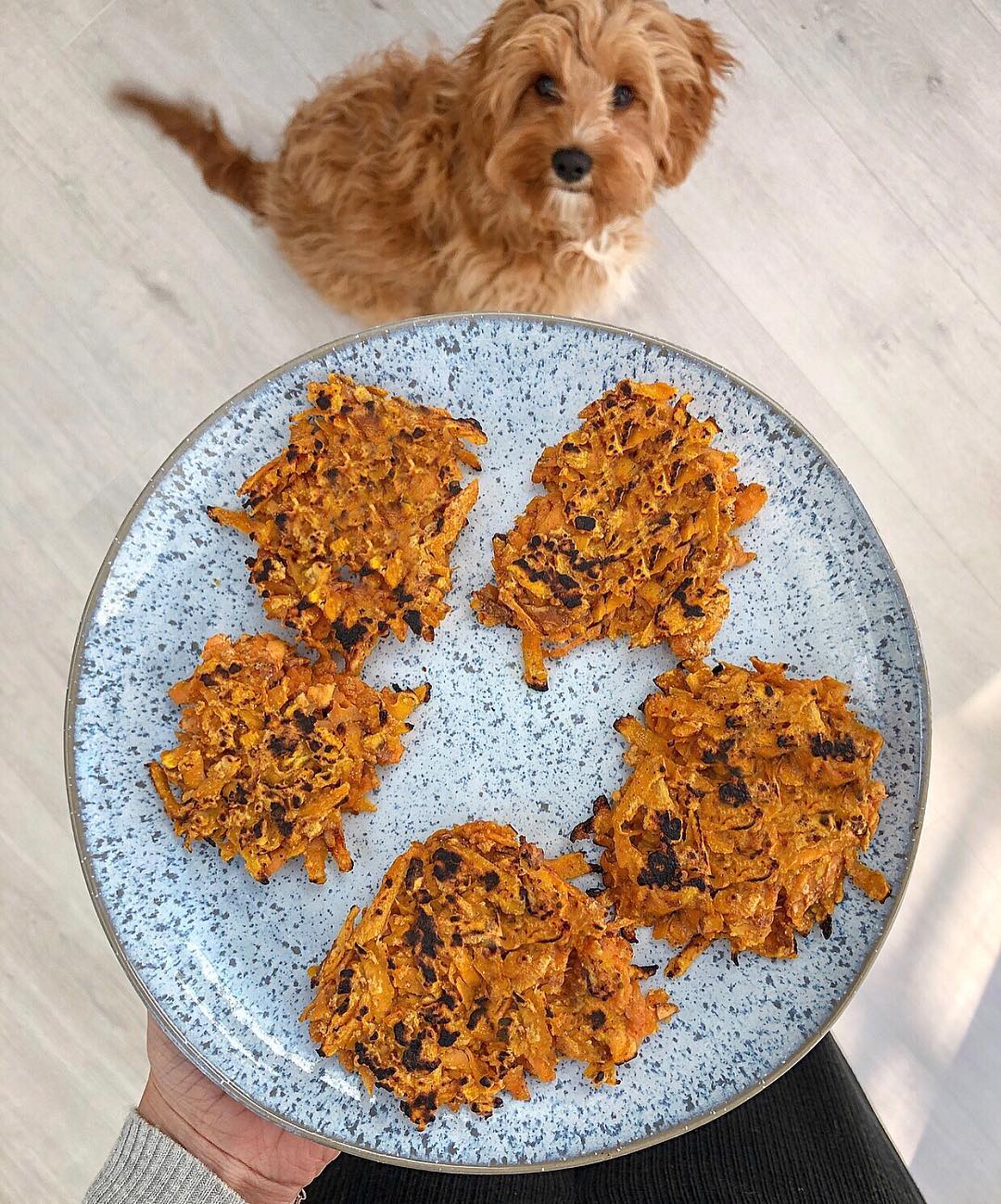 Sweet Potato Fritters