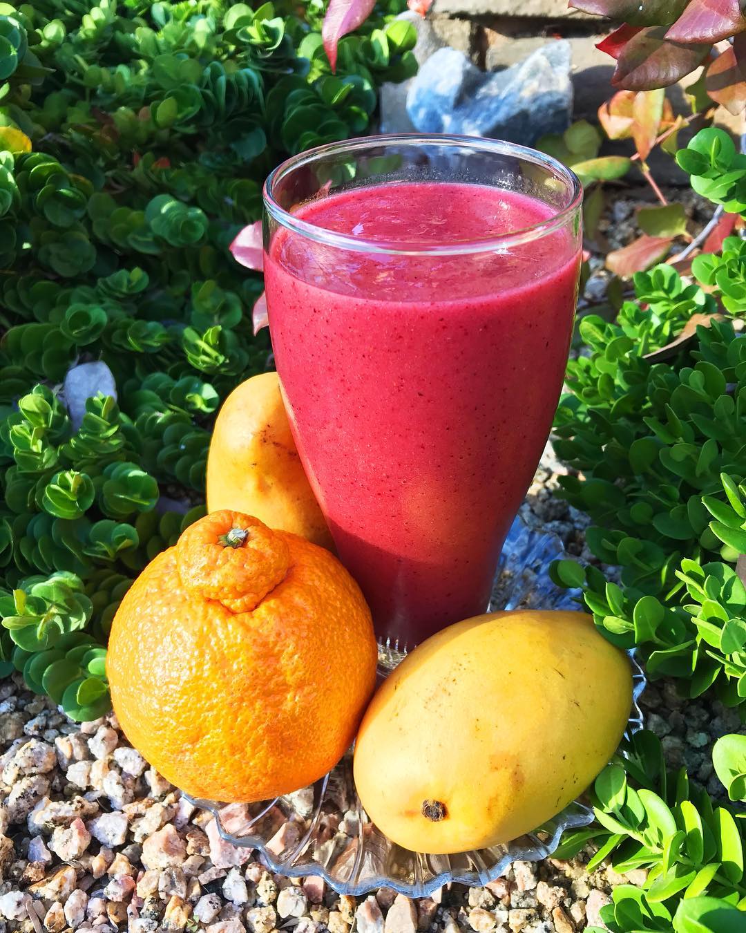 Mango Berry Cherry Smoothie