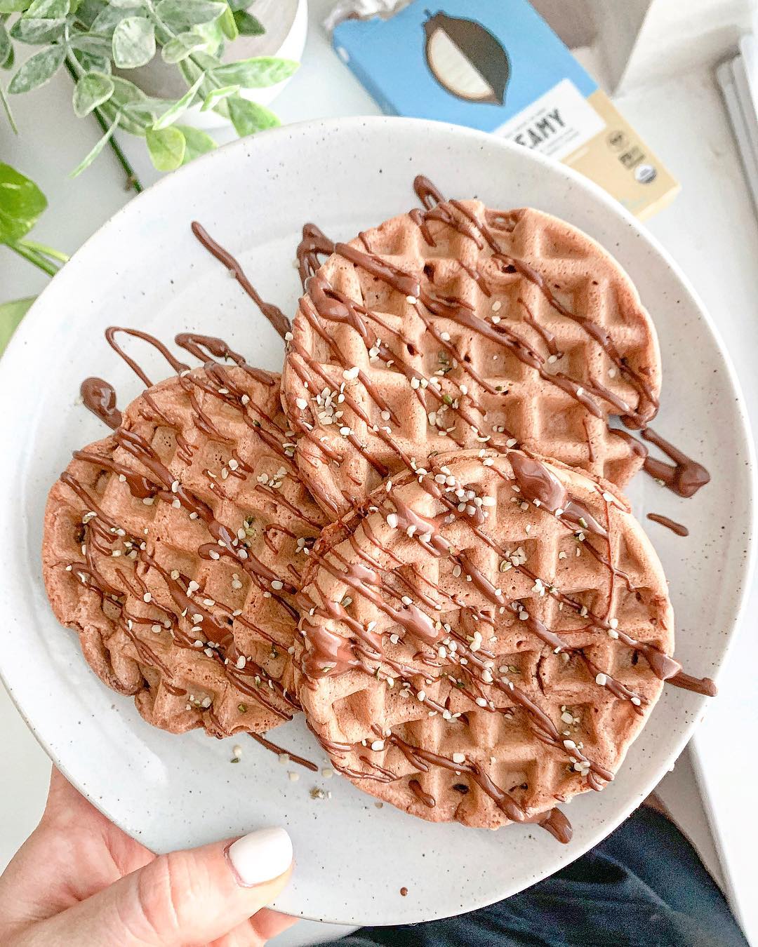 Quick Chocolate Collagen Waffles for Breakfast
