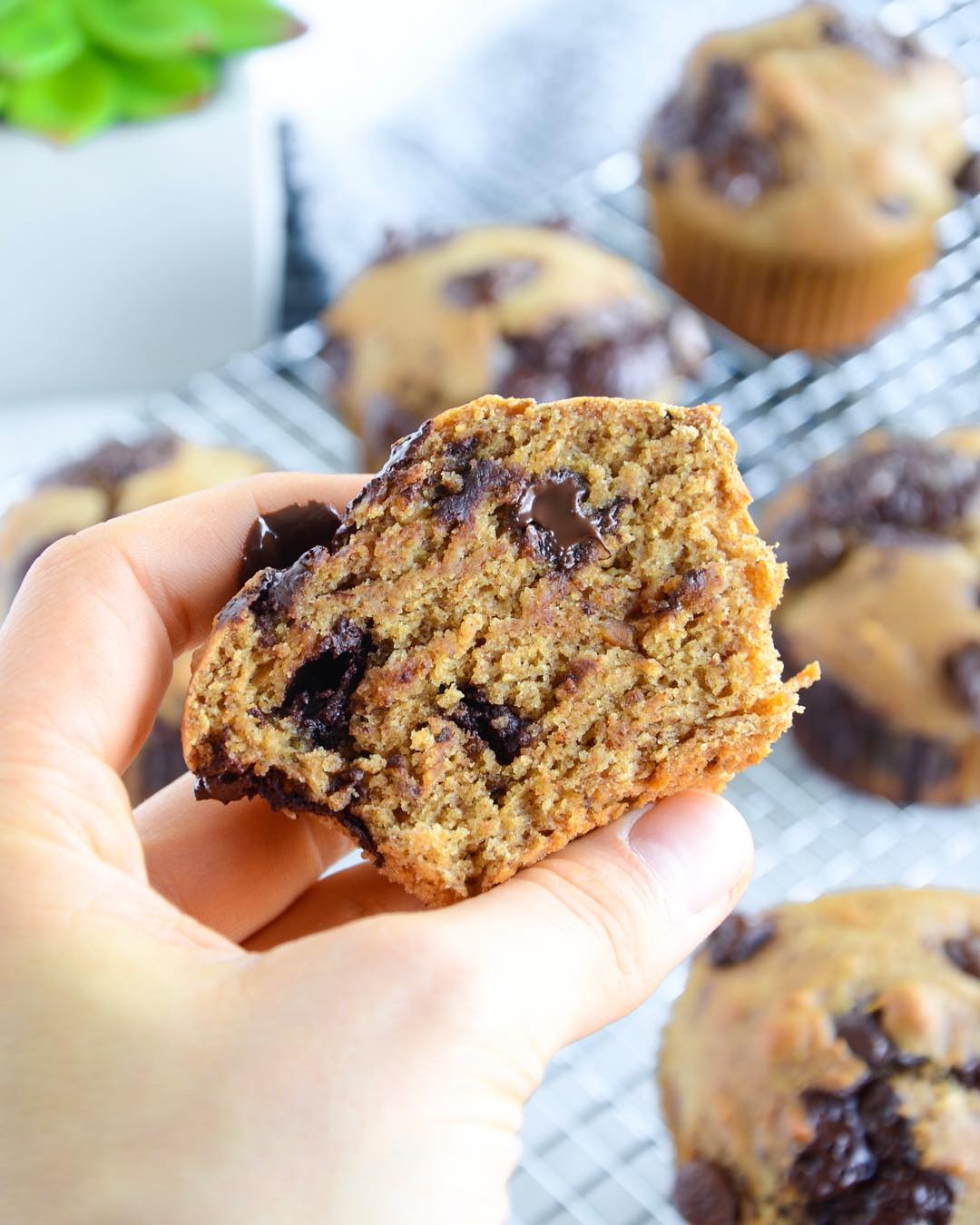 Incredibly Delicious Vegan Banana Chocolate Chip Muffins