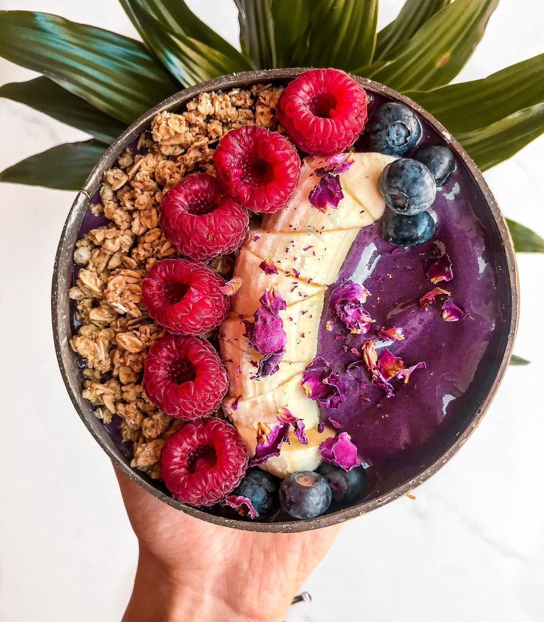 Vegan Dragon Fruit Smoothie Bowl