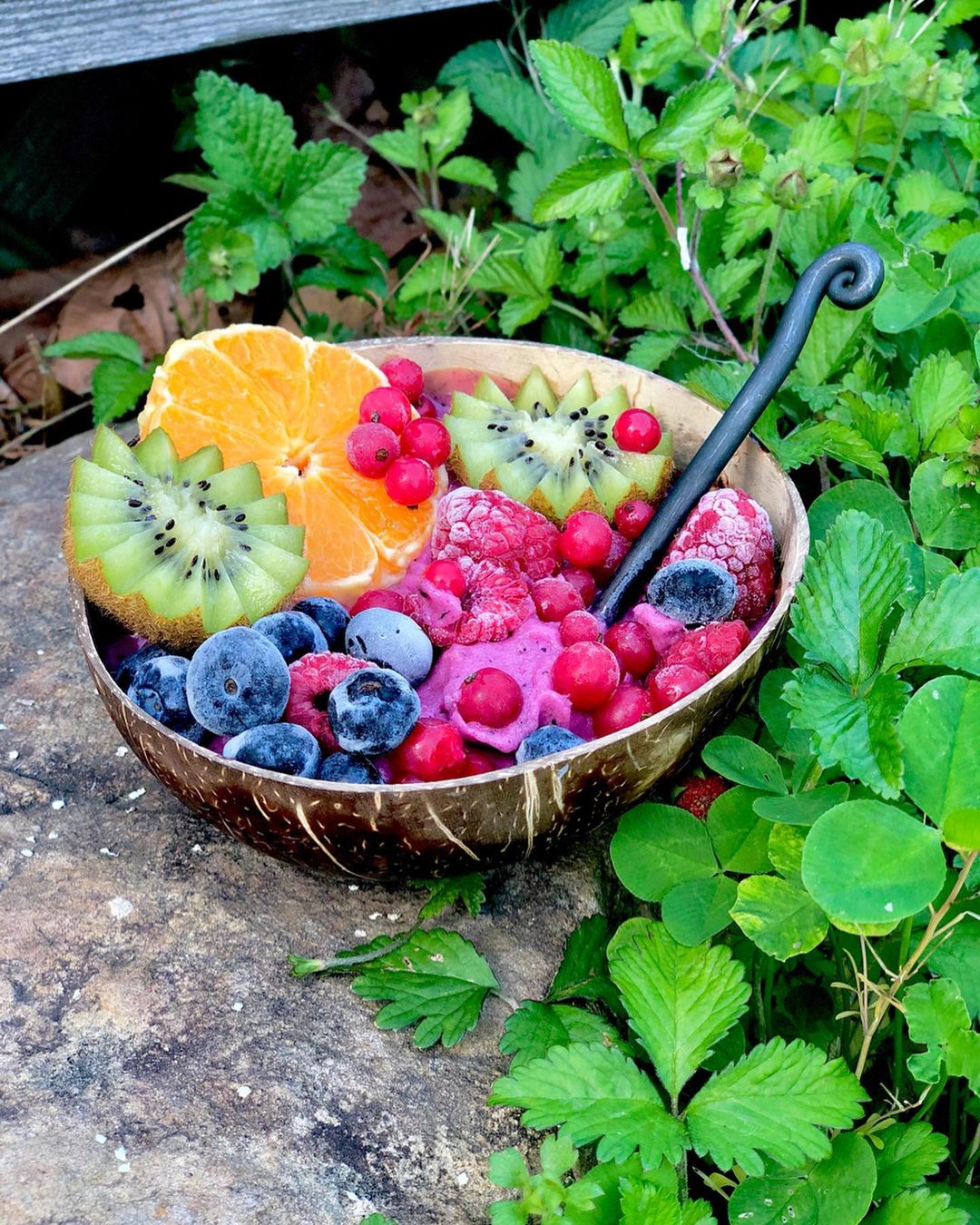 Frozen Fruit Smoothie Bowl