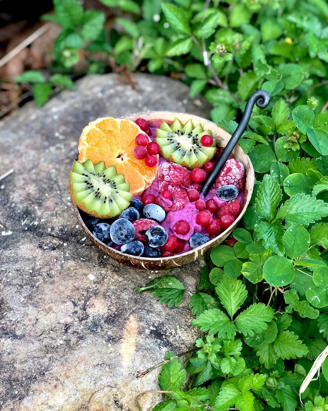 Frozen Fruit Smoothie Bowl