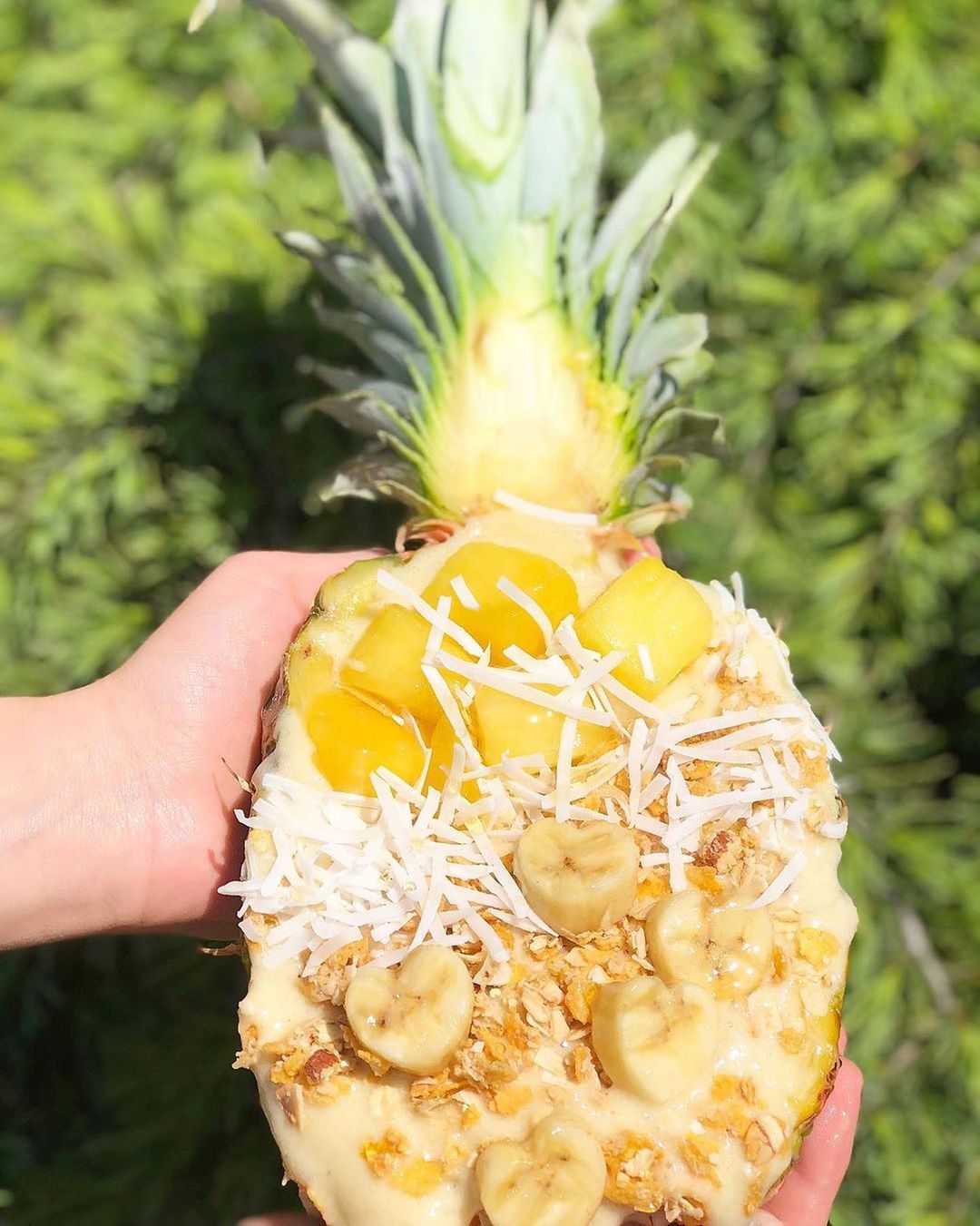 Delicious Piña Colada Smoothie Bowl