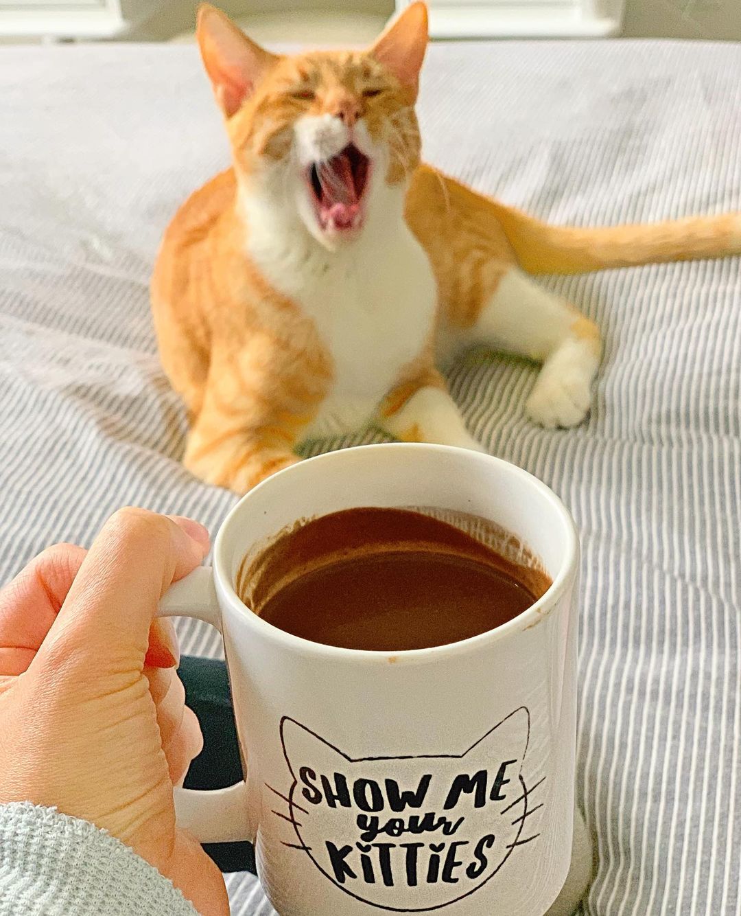 Spicy Vegan Hot Chocolate