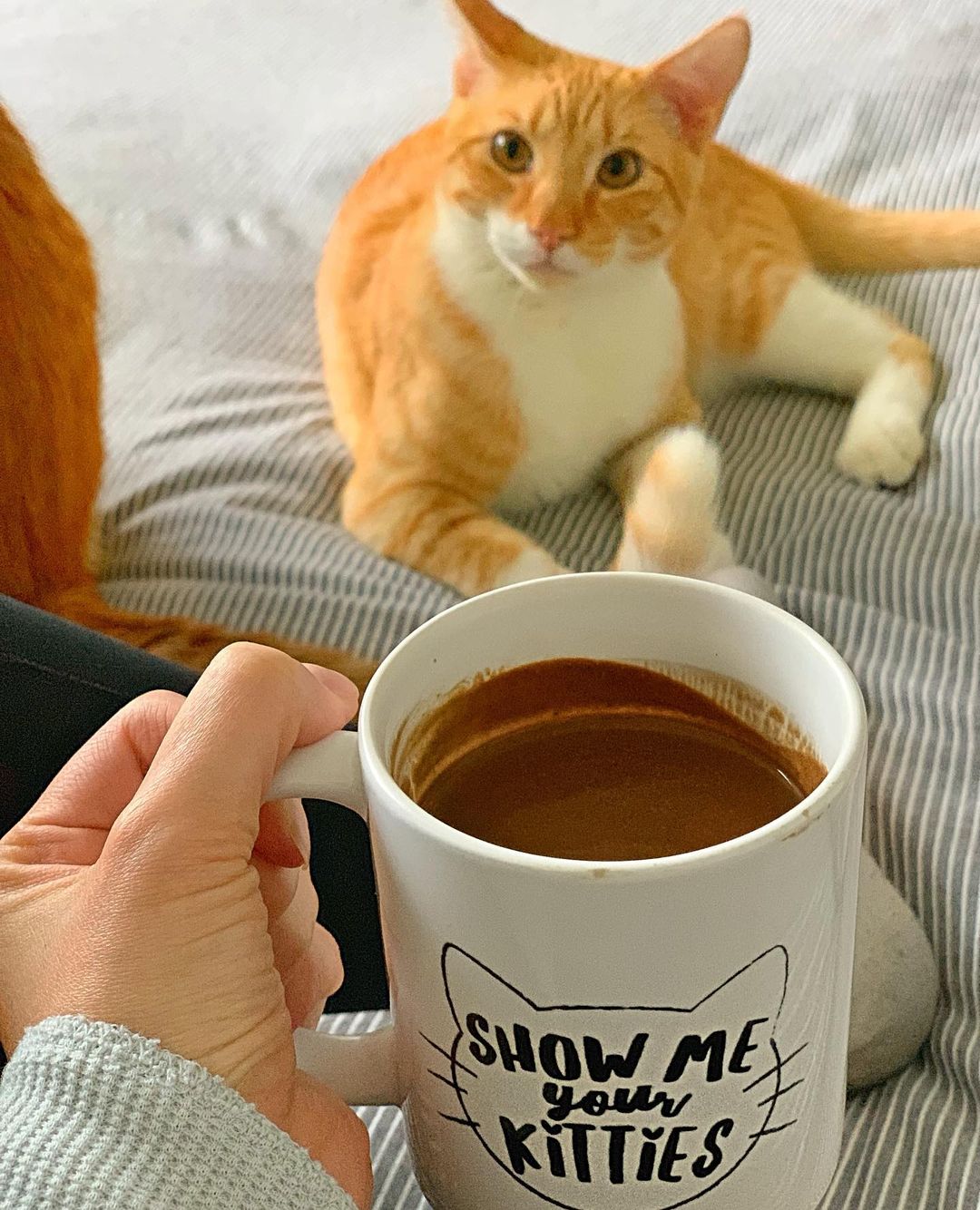 Spicy Vegan Hot Chocolate