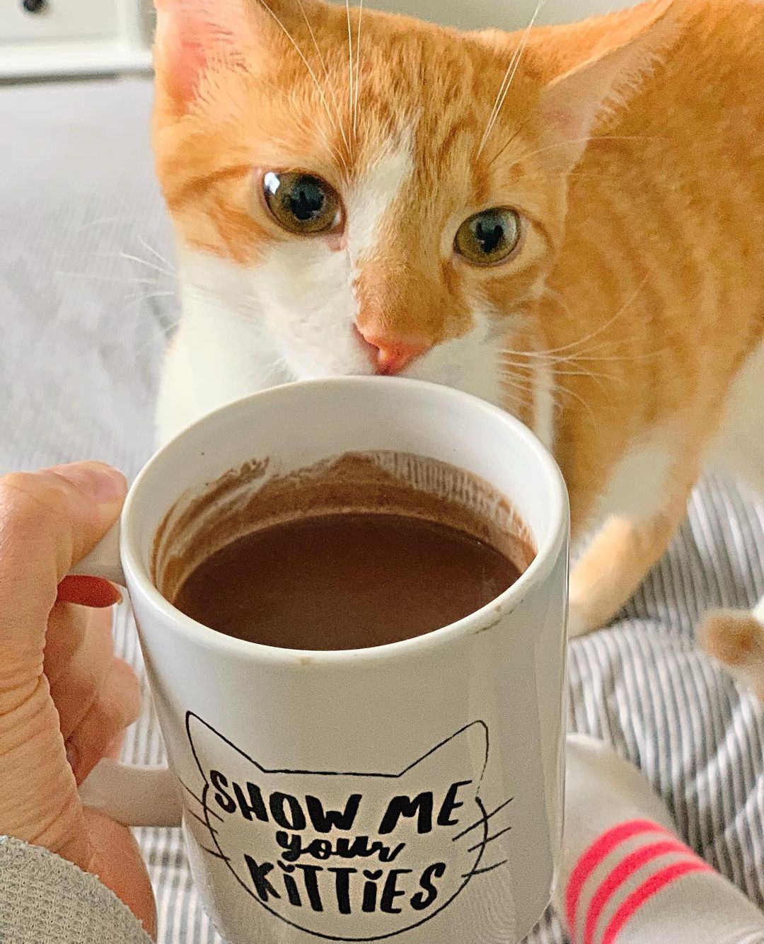 Spicy Vegan Hot Chocolate