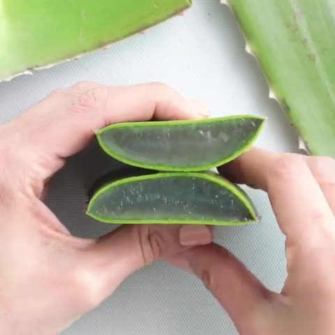 Aloe Vera Gel Smoothie